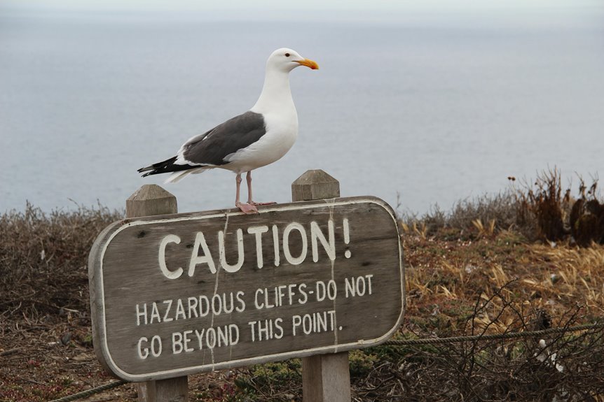 assessing xovfullmins safety concerns